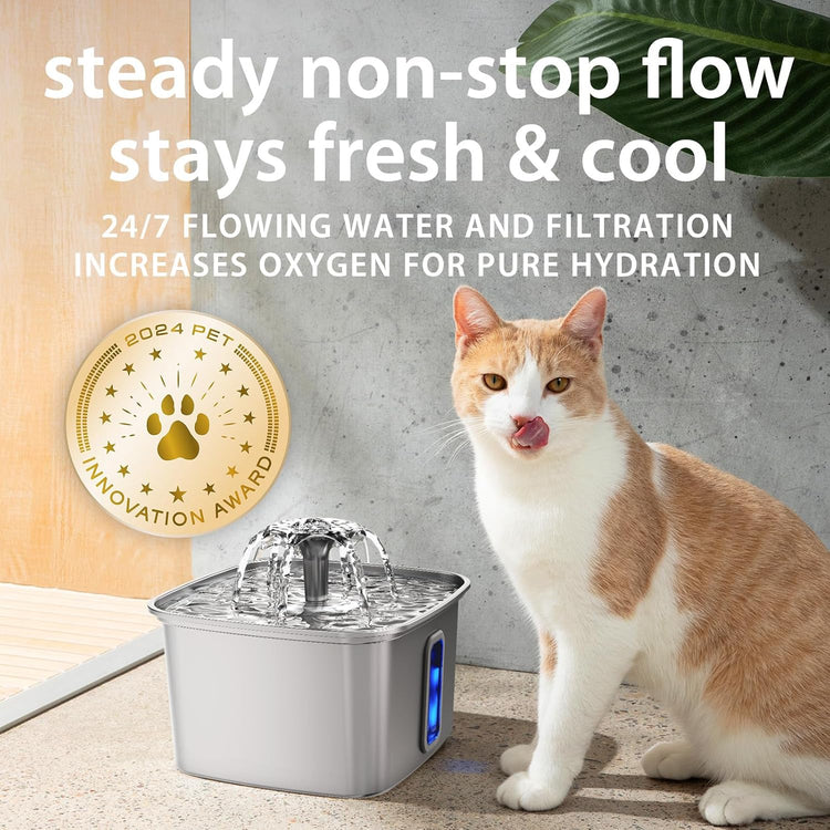 pet care tips